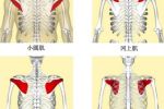 邱博士談武學(xué)：武學(xué)中小肌肉群、小關(guān)節(jié)與人體穩(wěn)定性