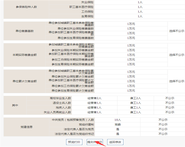 企業(yè)年報預(yù)覽并公示