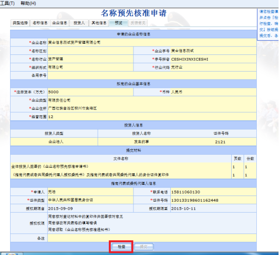 申請信息預(yù)覽檢查圖