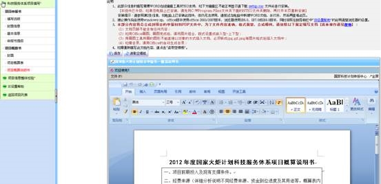項(xiàng)目概算說明書的填寫頁面