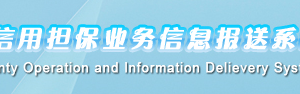 2018年中小企業(yè)信用擔(dān)保業(yè)務(wù)信息報送系統(tǒng)填報操作說明 （最新）