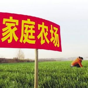 自辦家庭農(nóng)場(chǎng)政府有扶持政策嗎？