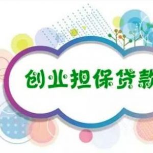 小微企業(yè)創(chuàng)業(yè)擔保貸款申請流程說明