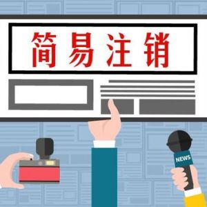 一文看懂公司簡易注銷登記基本流程-【河南工商局紅盾網】