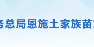 恩施州稅務(wù)局辦稅服務(wù)廳地址辦公時(shí)間及聯(lián)系電話