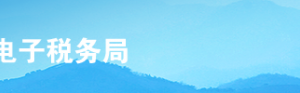 上海市電子稅務局臨時稅務登記操作流程說明