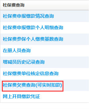 點(diǎn)擊社保費(fèi)欠費(fèi)查詢（可實(shí)時(shí)扣款）