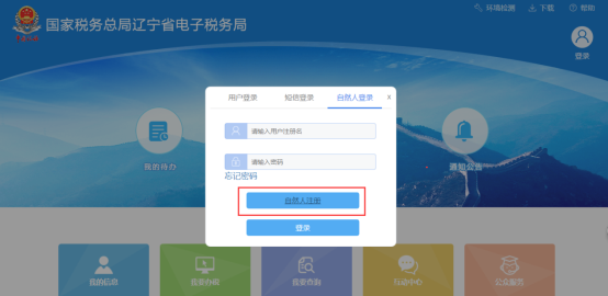 遼寧省電子稅務(wù)局自然人注冊