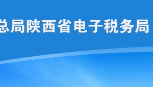 陜西省電子稅務局自然人（個人）辦稅服務操作流程說明