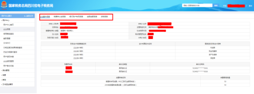 四川省電子稅務局納稅人信息