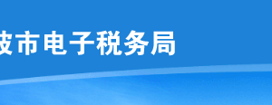 如何登錄寧波市電子稅務(wù)局？