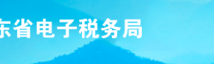 2019年9月山東省電子稅務(wù)局常見問題匯總（一）