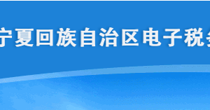 寧夏電子稅務(wù)局申報信息查詢普惠性稅收減免操作說明