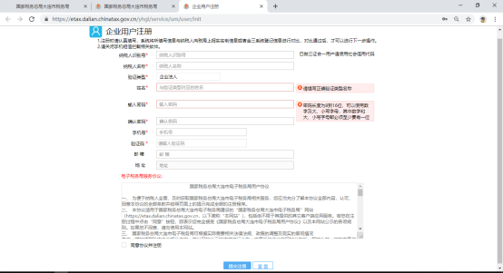 企業(yè)納稅人注冊界面