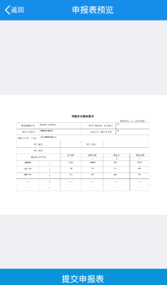 查看生成的pdf報表確認無誤后提交申報