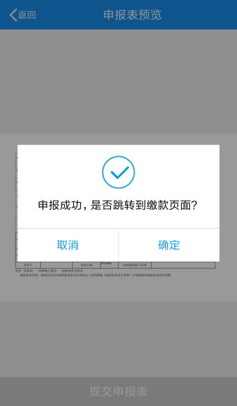 提交申報表