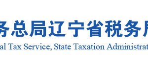 遼寧省電子稅務(wù)局移動(dòng)辦稅APP個(gè)體工商戶核定定額信息查詢指南