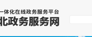 安國市政務服務網網上辦事大廳入口