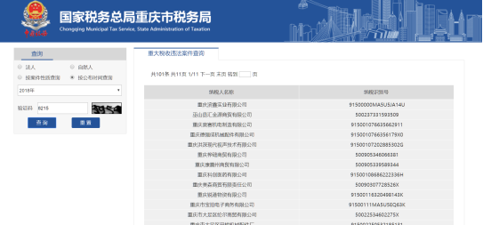 錄入納稅人識(shí)別碼及驗(yàn)證碼等信息