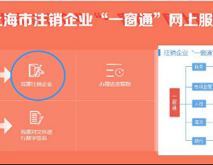 上海市注銷企業(yè)“一窗通”網(wǎng)上服務(wù)操作指南