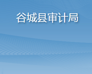 谷城縣審計(jì)局各部門(mén)聯(lián)系電話(huà)及辦公地址