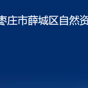 棗莊市薛城區(qū)自然資源局各部門對外聯(lián)系電話