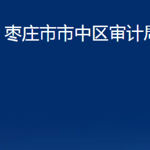 棗莊市市中區(qū)審計(jì)局各部門對(duì)外聯(lián)系電話