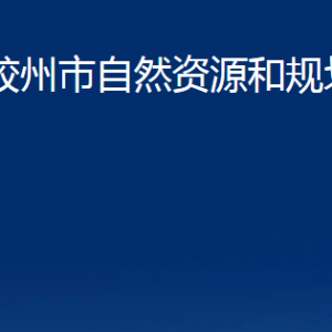 膠州市自然資源和規(guī)劃局各部門(mén)辦公時(shí)間及聯(lián)系電話(huà)