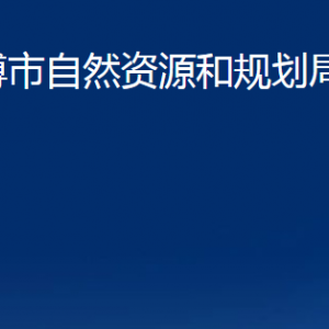 淄博市自然資源和規(guī)劃局張店分局各部門(mén)聯(lián)系電話