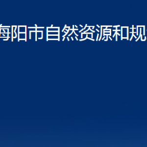 海陽(yáng)市自然資源和規(guī)劃局各部門對(duì)外聯(lián)系電話