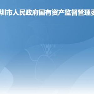 深圳市國(guó)有資產(chǎn)監(jiān)督管理委員會(huì)各部門(mén)職責(zé)及聯(lián)系電話(huà)