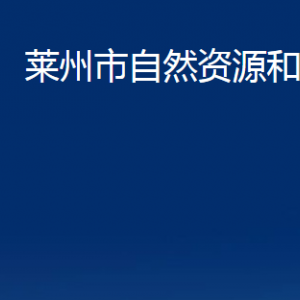 萊州市自然資源和規(guī)劃局各部門對外聯(lián)系電話