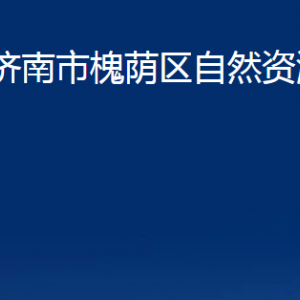 濟南市槐蔭區(qū)自然資源局各部門職責及聯(lián)系電話