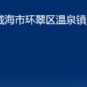 威海市環(huán)翠區(qū)溫泉鎮(zhèn)政府便民服務(wù)中心對外聯(lián)系電話