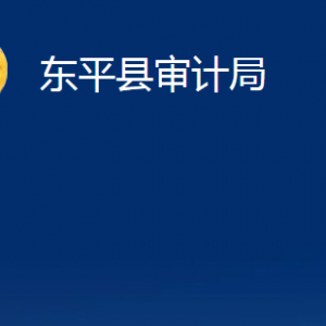 東平縣審計(jì)局各部門職責(zé)及對外聯(lián)系電話