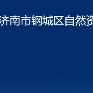 濟南市鋼城區(qū)自然資源局各部門職責(zé)及聯(lián)系電話