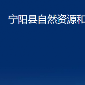 寧陽縣自然資源和規(guī)劃局各部門對外聯(lián)系電話