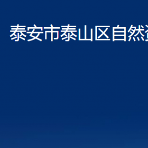 泰安市泰山區(qū)自然資源局各部門職責及聯(lián)系電話