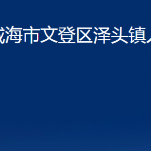 威海市文登區(qū)澤頭鎮(zhèn)政府便民服務(wù)中心對外聯(lián)系電話