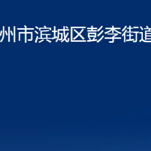 濱州市濱城區(qū)彭李街道各部門(mén)辦公時(shí)間及聯(lián)系電話(huà)