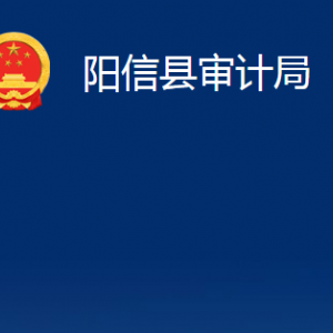 陽信縣審計(jì)局各部門職責(zé)及對(duì)外聯(lián)系電話辦公時(shí)間