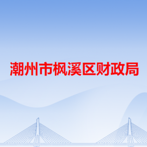 潮州市楓溪區(qū)財政局各辦事窗口工作時間和咨詢電話