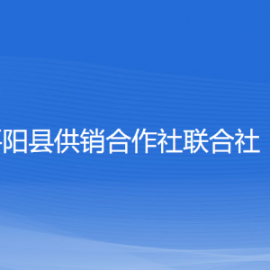 平陽縣供銷合作社聯(lián)合社各部門負(fù)責(zé)人和聯(lián)系電話