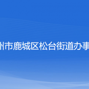 溫州市鹿城區(qū)松臺街道辦事處各部門負(fù)責(zé)人和聯(lián)系電話