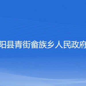 平陽(yáng)縣青街畬族鄉(xiāng)人民政府各部門(mén)負(fù)責(zé)人和聯(lián)系電話