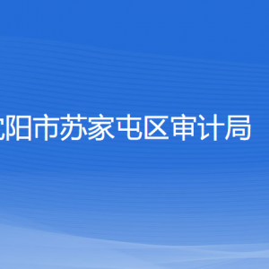 沈陽市蘇家屯區(qū)審計(jì)局各部門負(fù)責(zé)人和聯(lián)系電話