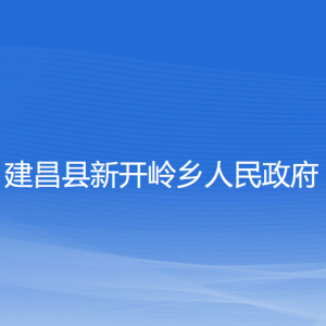 建昌縣新開嶺鄉(xiāng)人民政府各部門對外聯(lián)系電話