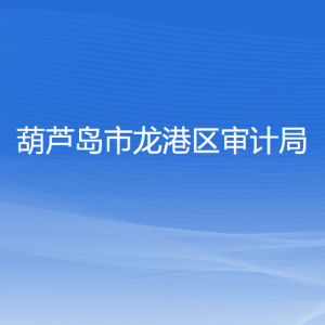 葫蘆島市龍港區(qū)審計局各部門對外聯(lián)系電話