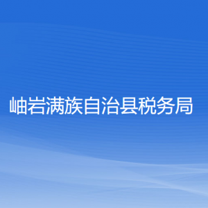 岫巖滿族自治縣稅務(wù)局涉稅投訴舉報(bào)及納稅服務(wù)電話