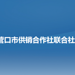 營口市供銷合作社聯(lián)合社各部門負責(zé)人和聯(lián)系電話